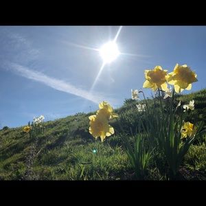 Meet your Posher, Trixie